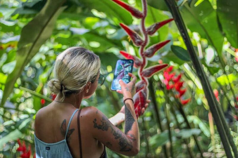 From Huatulco: Exotic garden on an ecotourism ranch and a visit to a viewpoint - Breathtaking Viewpoint at Mirador del Faro