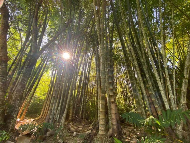 From Huatulco: Exotic garden on an ecotourism ranch and a visit to a viewpoint - Limitations and Practical Considerations