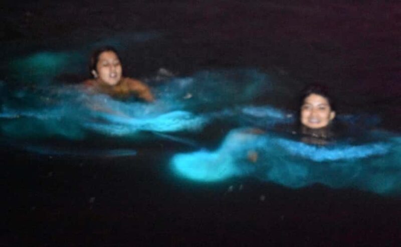 From Huatulco: Magical Bioluminescence Experience - Discover the Bioluminescence of Manialtepec Lagoon from Huatulco