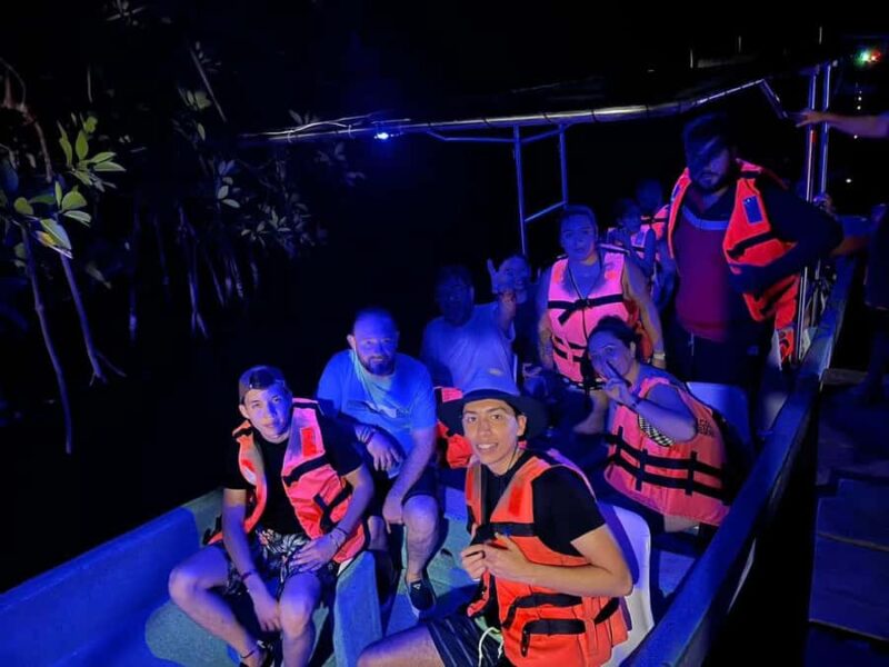 From Huatulco: Magical Bioluminescence Experience - Key Points
