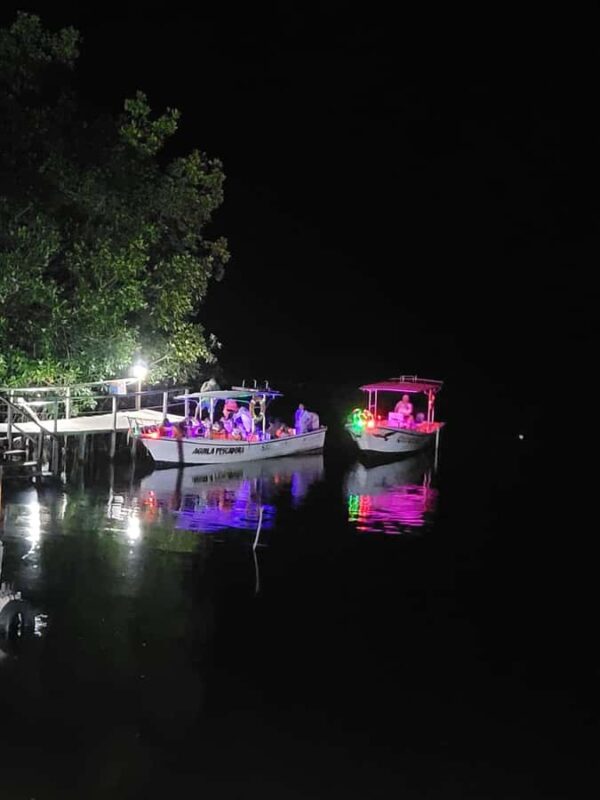 From Huatulco: Magical Bioluminescence Experience - How the Tour Starts: Pickup and Journey to Manialtepec Lagoon