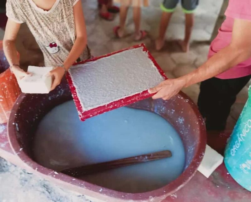 From Huatulco: Magical Bioluminescence Experience - Practical Tips for Participants