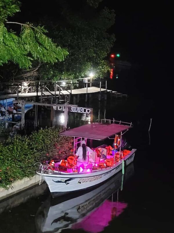 From Huatulco: Magical Bioluminescence Experience - The Experience Provider and Booking Options