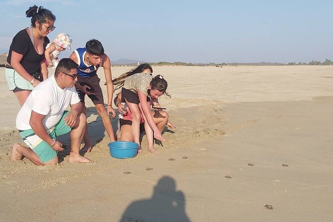 From Huatulco: Turtle Release & Bioluminescence - Witnessing Bioluminescence at Laguna Manialtepec