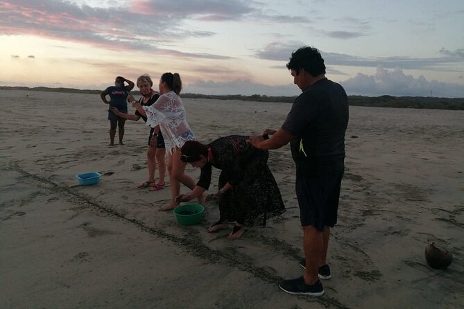 From Huatulco: Turtle Release & Bioluminescence - Who Will Enjoy This Tour Most?