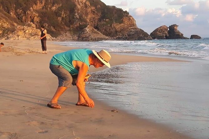 From Huatulco: Turtle Release & Bioluminescence - The Sum Up: A Natural and Cultural Journey in Huatulco