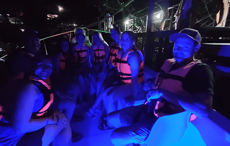 From Huatulco:Turtle Release and Bioluminescence Tour - Witnessing the Bioluminescence in Laguna de Manialtepec