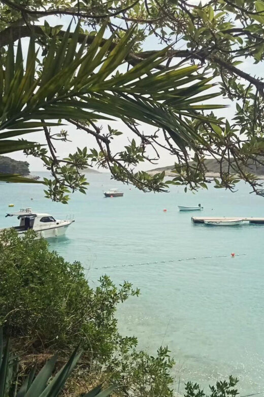 From Hvar: Pakleni Islands Private Boat Tour - The Experience of Feeling Hvar: Personalized Service