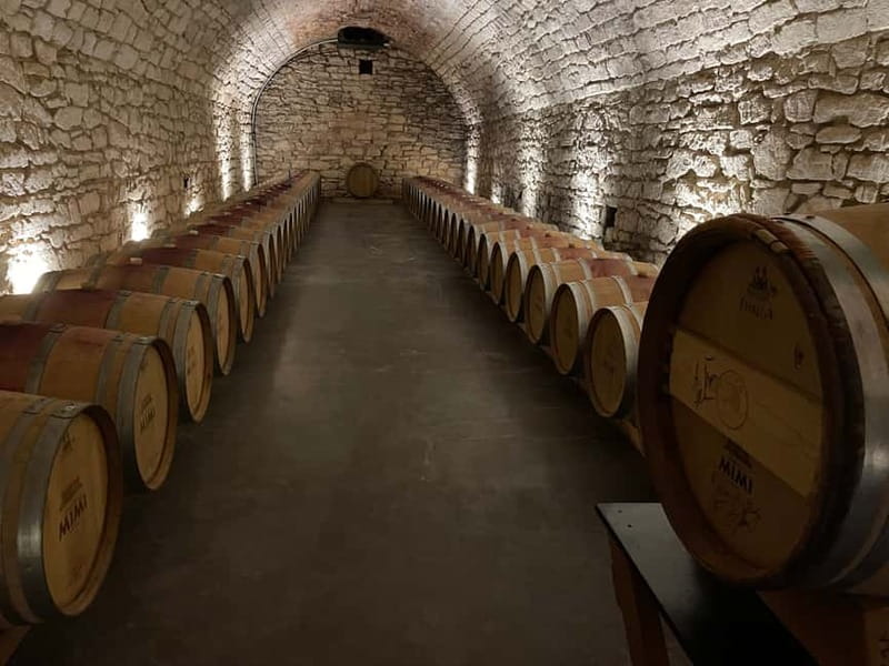 From Iai: Mimi Castle Wine Tasting Day Trip - Explore Moldavia’s Charm on a Full-Day Trip to Mimi Castle and Chisinau
