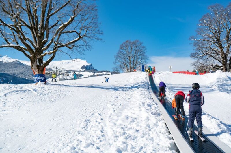From Interlaken: Grindelwald Beginners Snowboarding Lesson - The Role of Guides and the Small Group Format