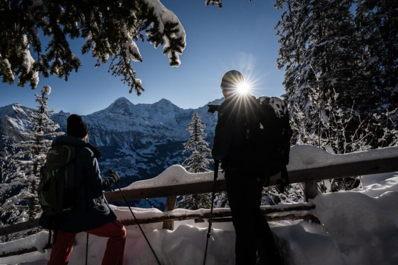 From Interlaken: Guided Snowshoe Tour - Ease and Accessibility of the Snowshoe Walk