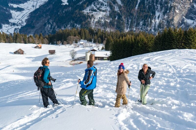 From Interlaken: Guided Snowshoe Tour - Why This Snowshoe Tour Stands Out