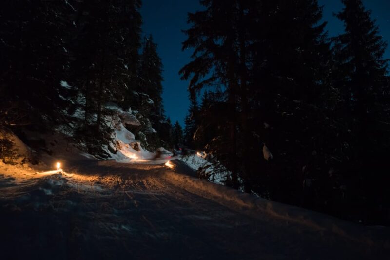 From Interlaken: Night Sledding - Who Should Consider This Night Sledding Tour