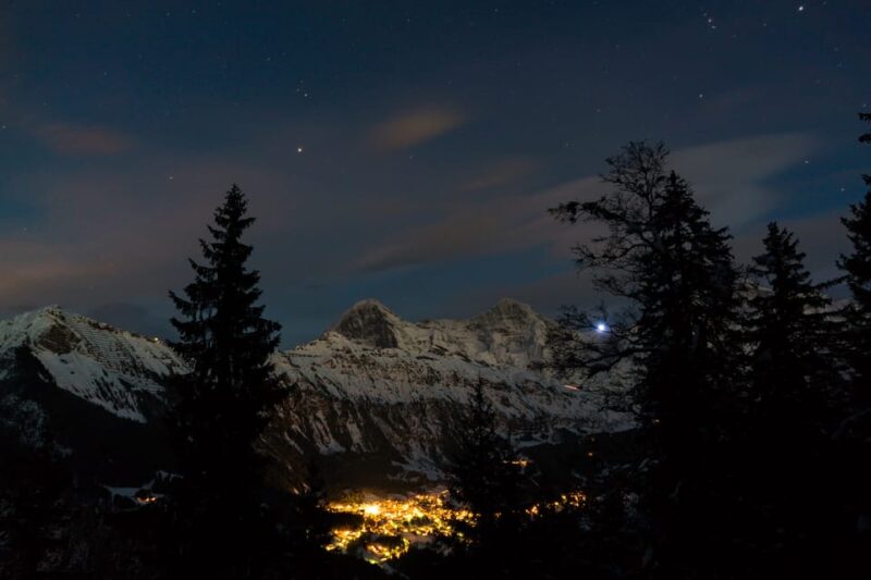 From Interlaken: Night Sledding - The Booking, Cancellation, and Practical Info