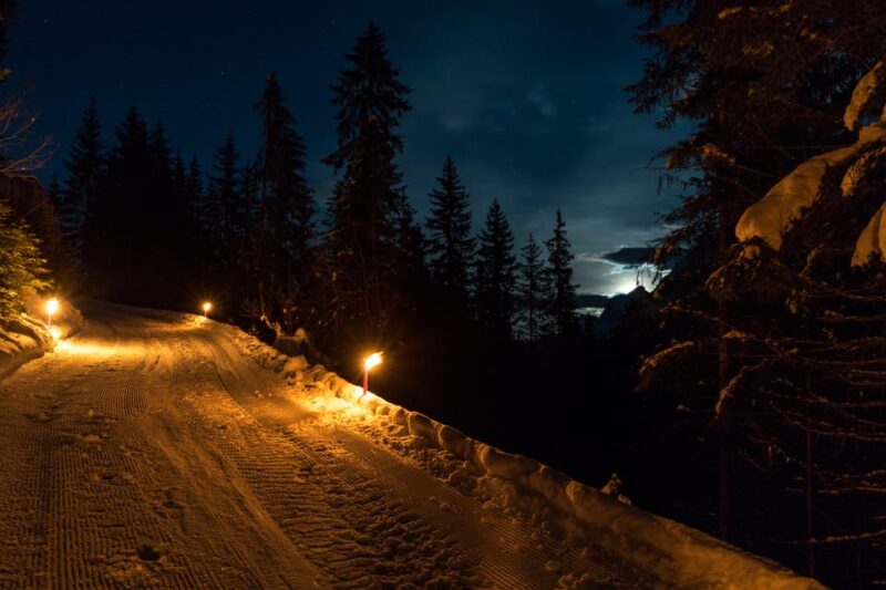 From Interlaken: Night Sledding with Cheese Fondue Dinner - Logistics: How the Tour Operates