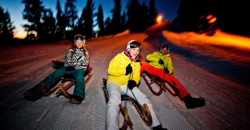 From Interlaken: Night Sledding with Cheese Fondue Dinner - Who Should Consider This Tour