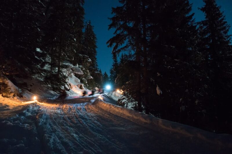 From Interlaken: Night Sledding with Cheese Fondue Dinner - The Quality of Guides and Service
