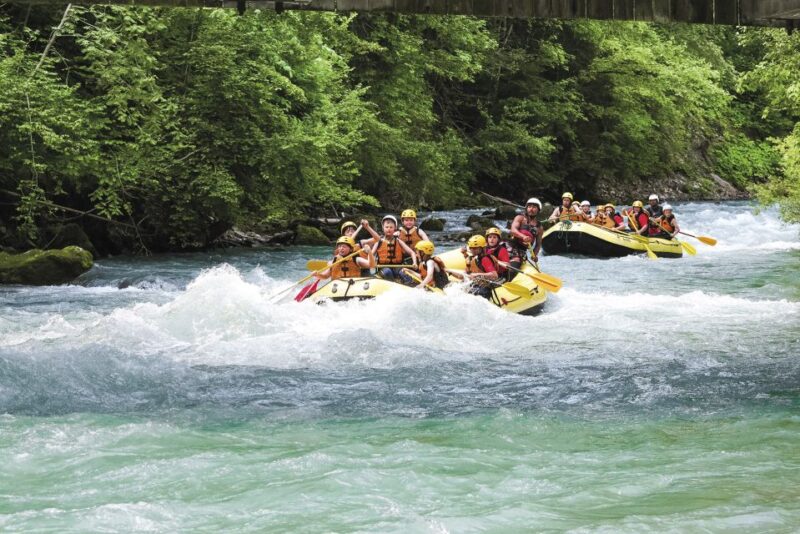 From Interlaken: River Rafting Adventure on Simme River - Pricing, Flexibility, and Booking Options