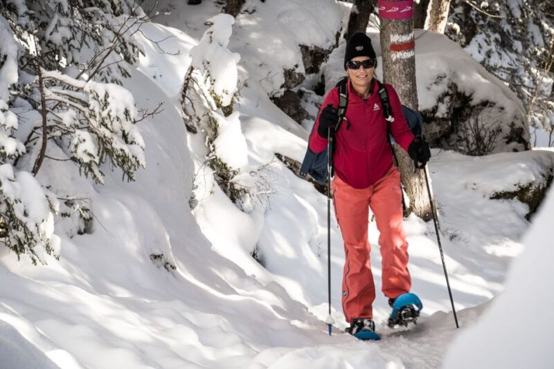 From Interlaken: Wetterhorn Trail Snowshoe Hiking Tour - What to Wear and Bring for Comfort