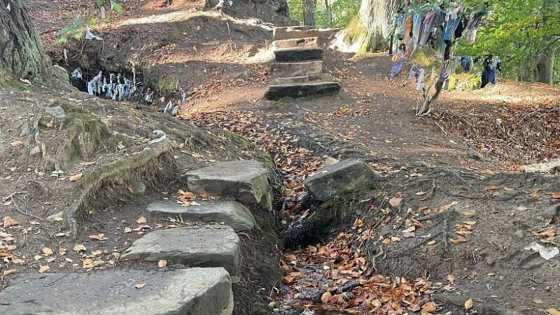 From Inverness: Black Isle Tour with Dolphin Spotting - Discovering Cromarty and Hugh Miller’s Legacy