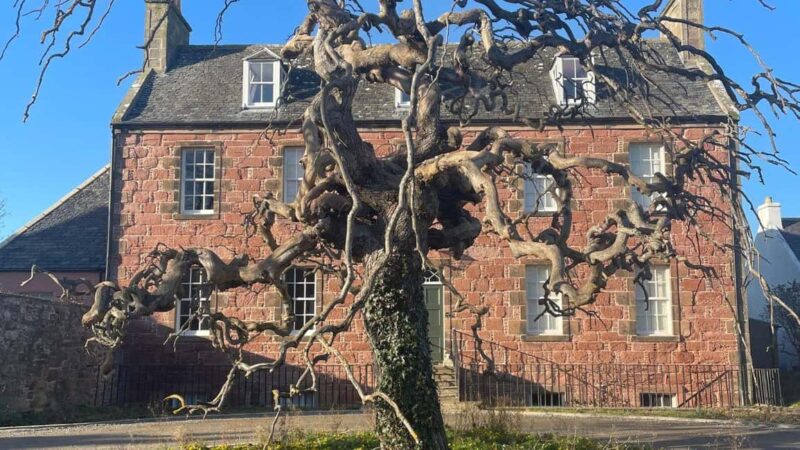 From Inverness: Black Isle Tour with Dolphin Spotting - Sampling Beer at Black Isle Brewery