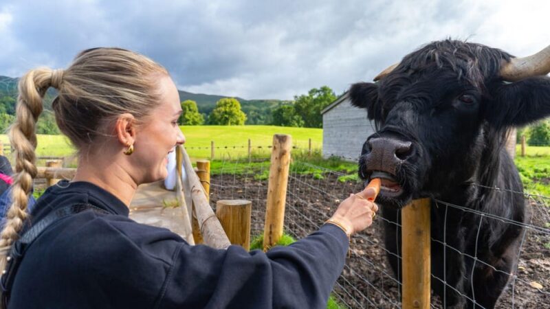From Inverness: Cawdor Castle, Clava Cairns & The Cairngorms - Discover the Scottish Highlands with Cawdor Castle, Clava Cairns & Cairngorms