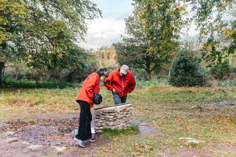 From Inverness: Glen Affric, Culloden, and Clava Cairns Tour - Exploring the Scottish Highlands from Inverness