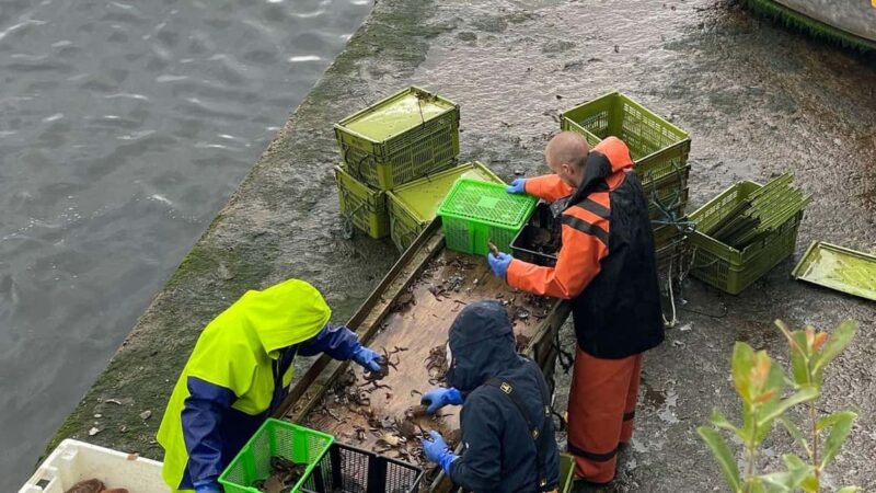 From Inverness: Isle of Skye & Eilean Donan Castle Day Tour - Exploring the Highlands and Loch Ness from Inverness