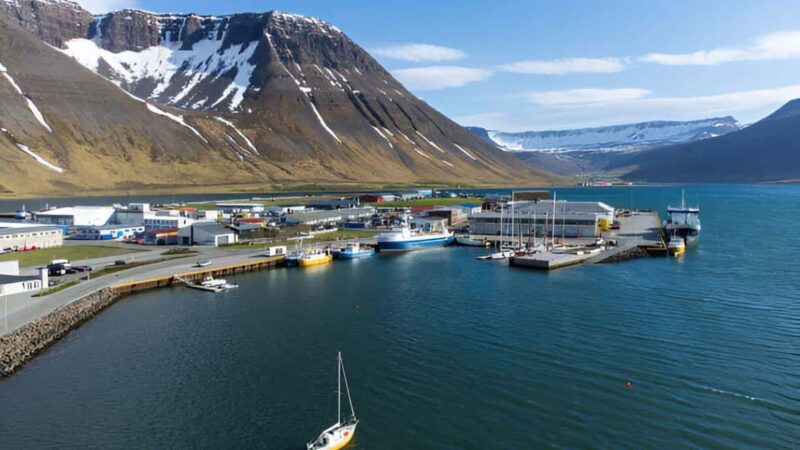 From Isafjordur: Private Dynjandi Waterfall & Farm Tour - Discover Iceland’s Westfjords in Private Comfort