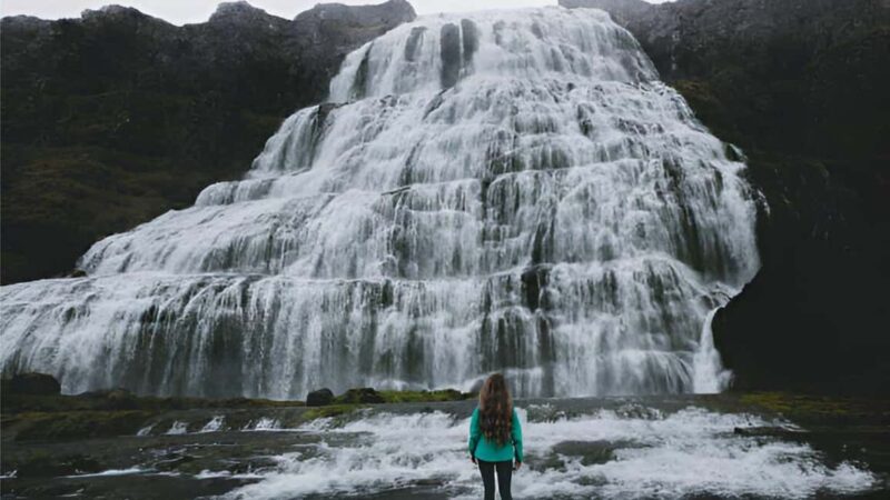 From Isafjordur: Private Dynjandi Waterfall & Farm Tour - Auðkúla Farm: Wildlife and Seasonal Sightings