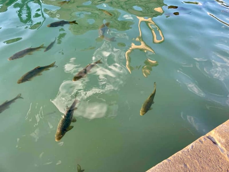 from Istanbul: anlurfa, Göbeklitepe & Balklgöl Day Trip - Exploring the anlurfa Archaeology Museum and Haleplibahçe Mosaic Museum