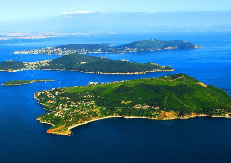 From Istanbul: Full-Day Princes Island Tour with Lunch - Leisure Time and Optional Activities on the Islands