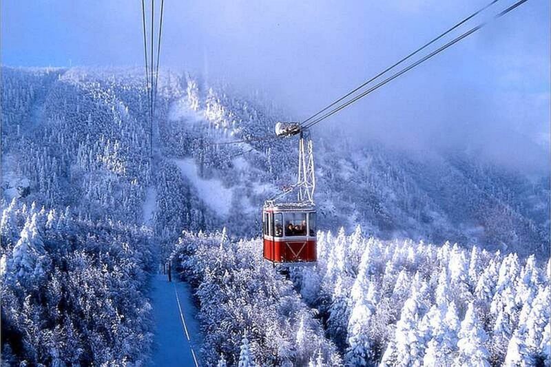 From Istanbul: Full-Day Tour to Bursa - Convenient Transportation from Istanbul to Bursa