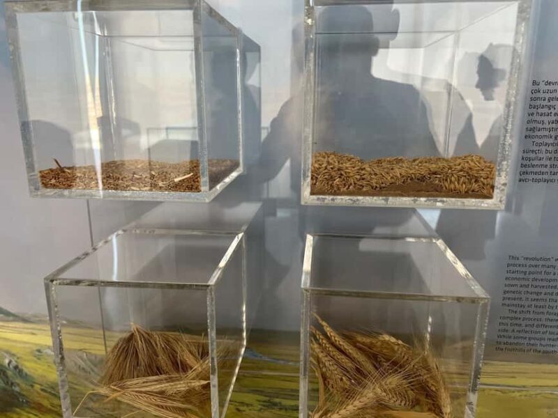 From Istanbul: Gobeklitepe and Harran Cultural & Food Tour - Savoring Traditional Urfa Cuisine at a Local Restaurant