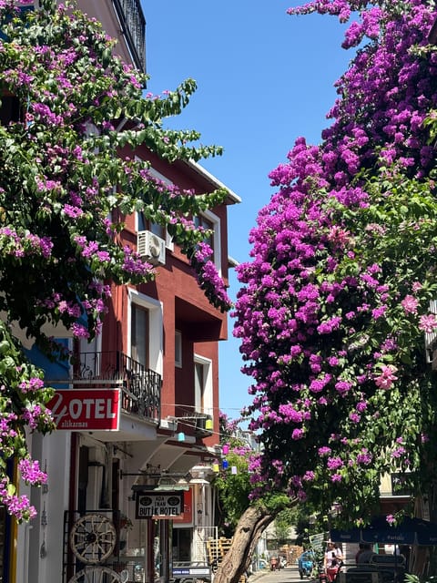 From Istanbul: Princess Islands Guided Tour - Exploring Heybeliada: One Hour of Freedom