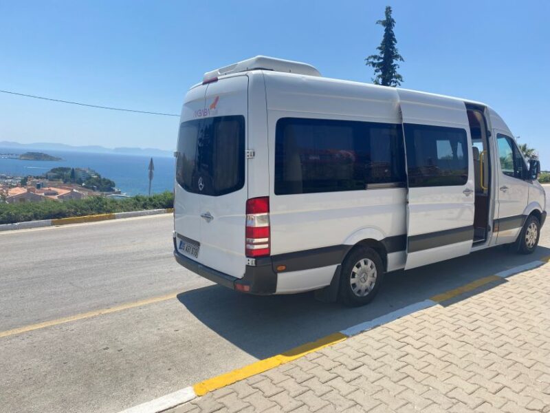 From Istanbul: Private Guided Day Trip to Ephesus with Lunch - Accessibility and Suitability