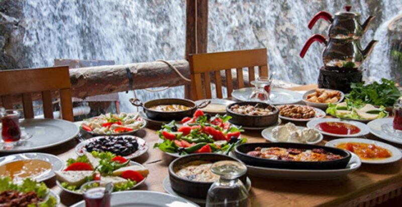 From Istanbul: Sapanca and Masukiye Day Trip with Lunch - Wildlife Encounters at Darca Zoo or Lion Park