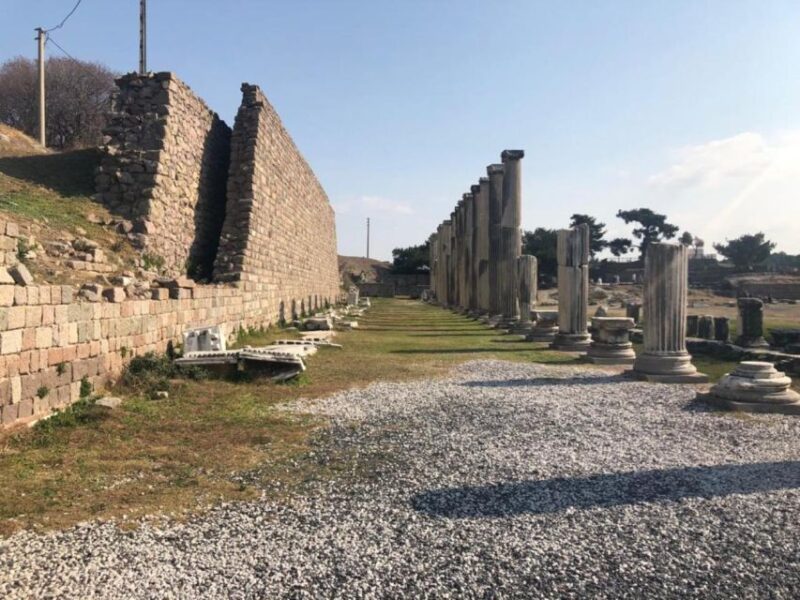 From Izmir: Private Guided Day Trip to Ancient Pergamon - Insights from the Professional Guide