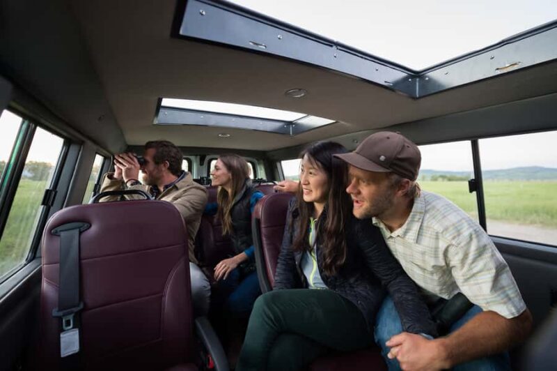 From Jackson: 4-Hour Eco Safari in Grand Teton National Park - Experience the 4-Hour Eco Safari in Jacksons Grand Teton National Park