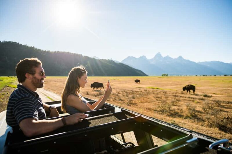 From Jackson: 4-Hour Eco Safari in Grand Teton National Park - Key Points