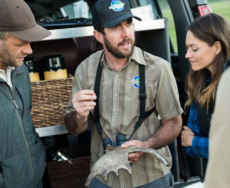 From Jackson: 4-Hour Eco Safari in Grand Teton National Park - Prime Wildlife Spotting Opportunities