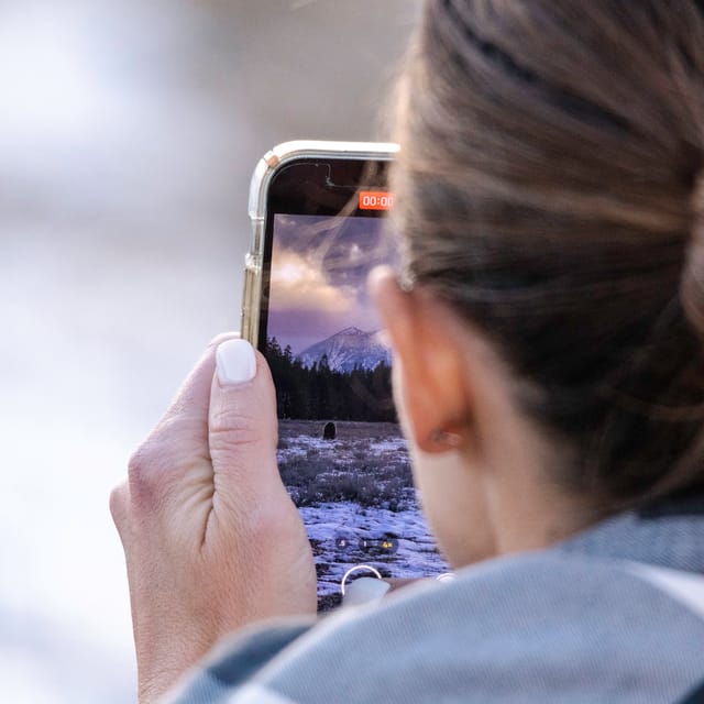 From Jackson: Grand Teton Sunset and Sightseeing Tour - The Expertise and Approach of the Naturalist Guides