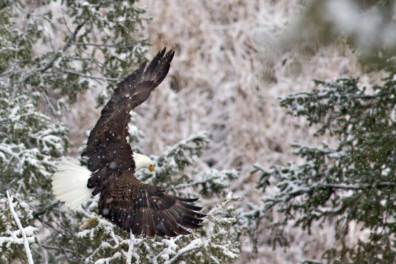 From Jackson: Grand Teton Sunset and Sightseeing Tour - Who Will Enjoy This Tour Most?