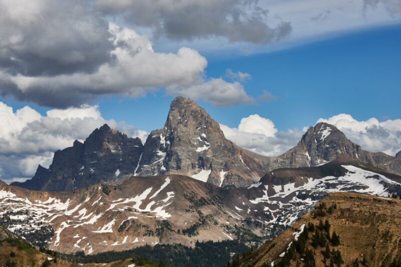 From Jackson: Half-Day Grand Teton National Park Tour - The Value of a Half-Day Wildlife and Scenic Tour