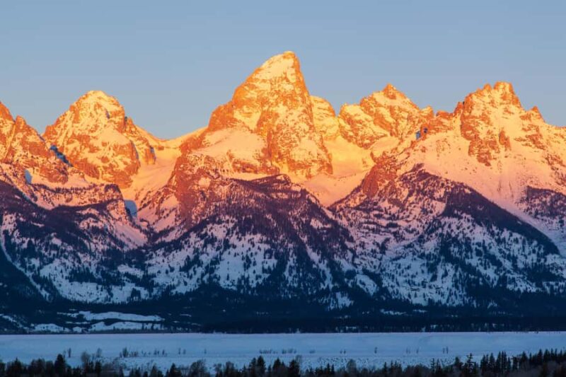 From Jackson Hole: Half-Day Grand Teton Winter Wildlife Tour - Wildlife Opportunities in the Snow-Covered Landscape