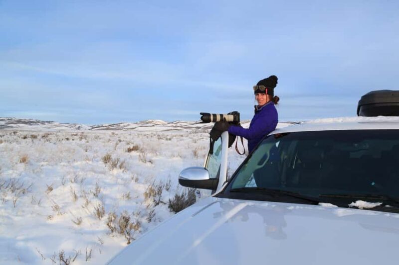 From Jackson Hole: Half-Day Grand Teton Winter Wildlife Tour - Practical Details and Packing Tips for the Tour