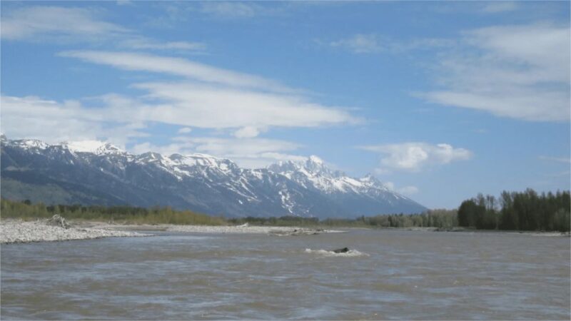 From Jackson Hole: Snake River Float with Scenic Teton Views - Wildlife Viewing: Bald Eagles and Trout