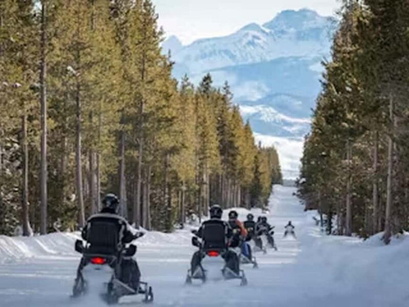 From Jackson: Yellowstone Grand Canyon Snowmobile Tour - Who Should Consider This Tour