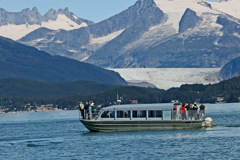 From Juneau: Whale Watching Cruise with Snacks - Limitations and Practical Tips