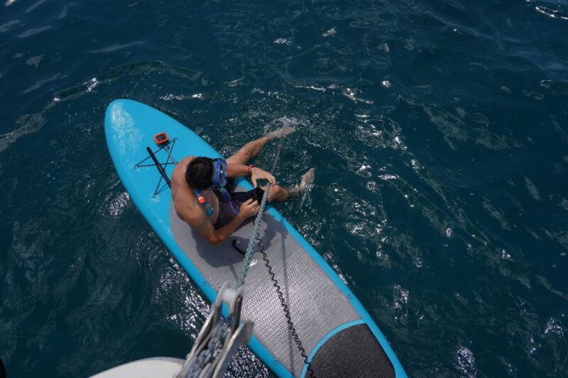 From Kalamata: Private Cruise to Kardamili & Stoupa with BBQ - Key Points